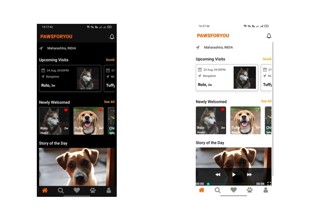 Pet Adoption React Native